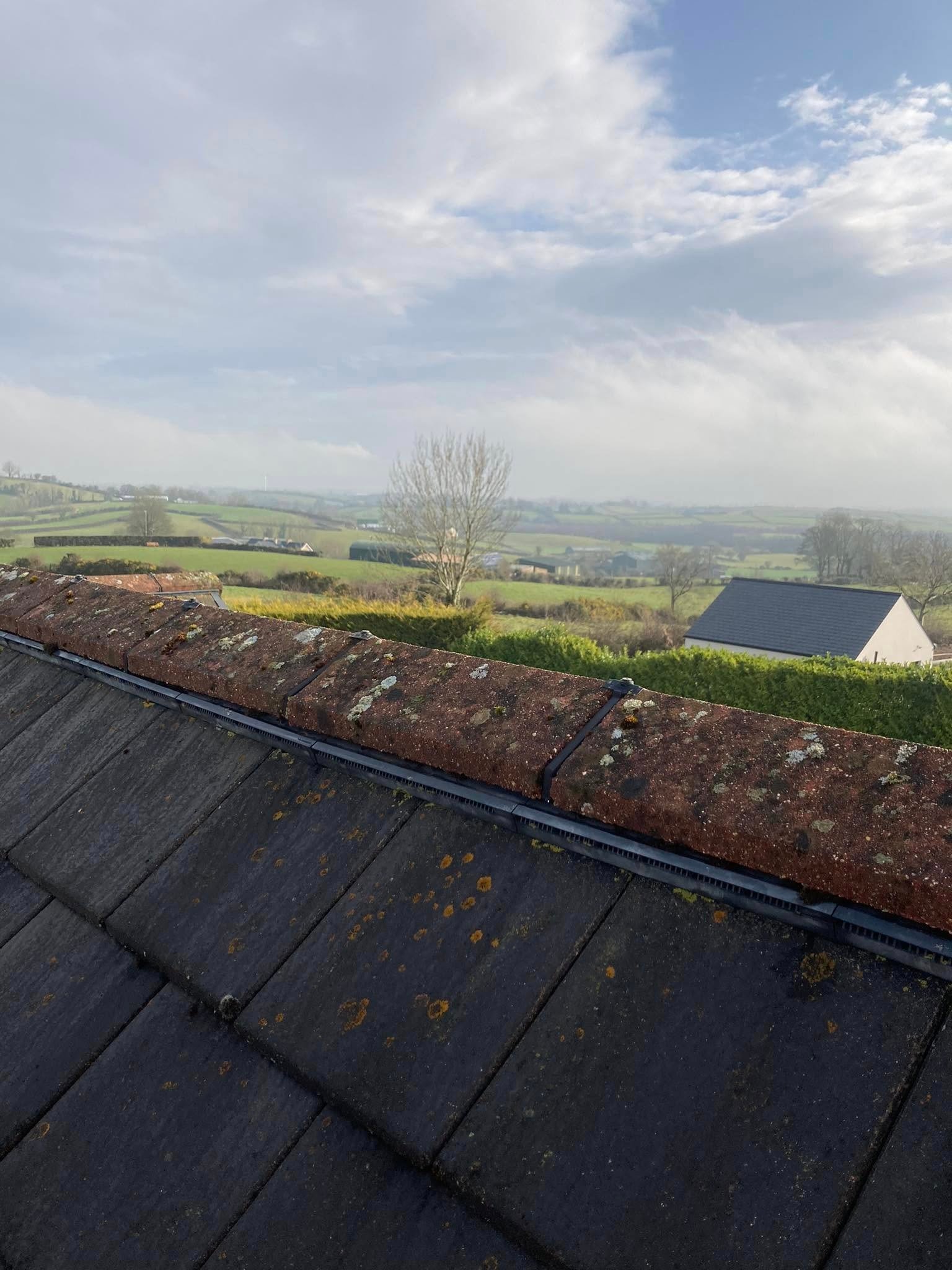 Ballcock Replacement Recently Completed in Antrim - BMK job photo 2