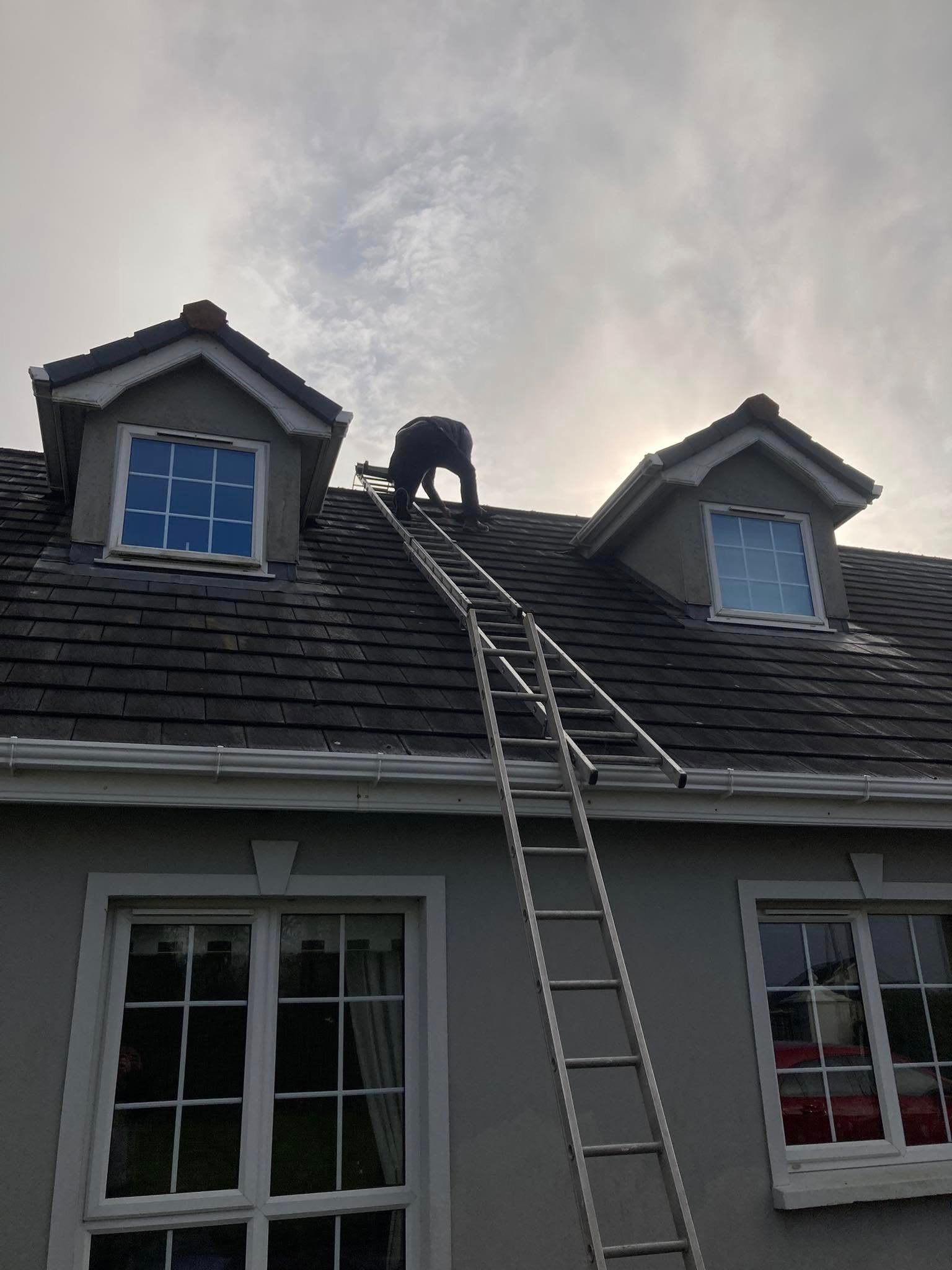 Ballcock Replacement Recently Completed in Antrim - BMK job photo 3